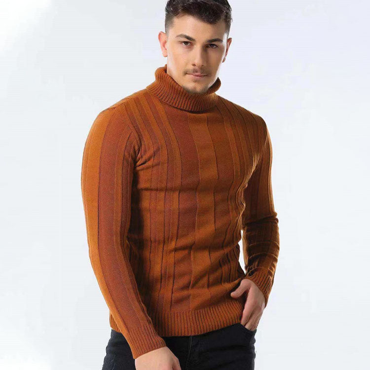 Mathis Textured Stripe Turtleneck