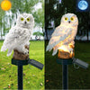 Staring Owl Solar Powered Garden Lights (Waterproof)