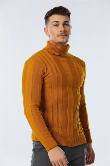 Mathis Textured Stripe Turtleneck